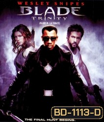 Blade 3: Trinity (2004) อำมหิต พันธุ์อมตะ (ซับหายบางช่วง)