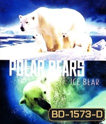 Polar Bears: Ice Bear