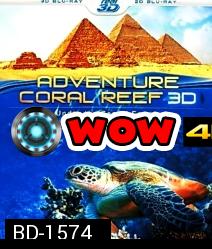 Coral Reef Adventure 3D