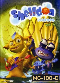Shelldon เชลล์ดอน ชุด 7