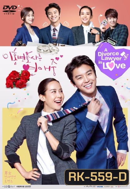 Divorce Lawyer in Love