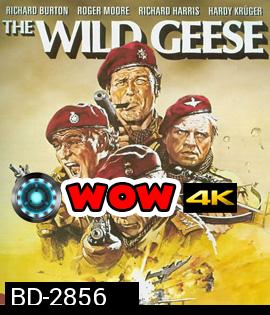 The Wild Geese (1978) 50 เดนตาย