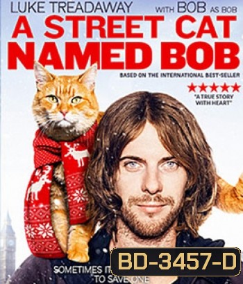 A Street Cat Named Bob (2016) บ๊อบ แมว เพื่อน คน