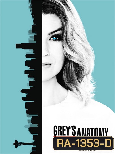 Grey's anatomy Season 13 แพทย์มือใหม่หัวใจเกินร้อย ปี 13 ( 24 ตอนจบ )