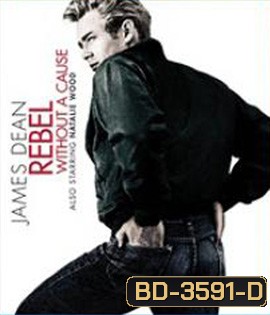 Rebel Without a Cause (1955) วัยอันตราย