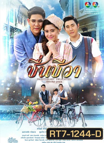 ชื่นชีวา ( 15 ตอนจบ )