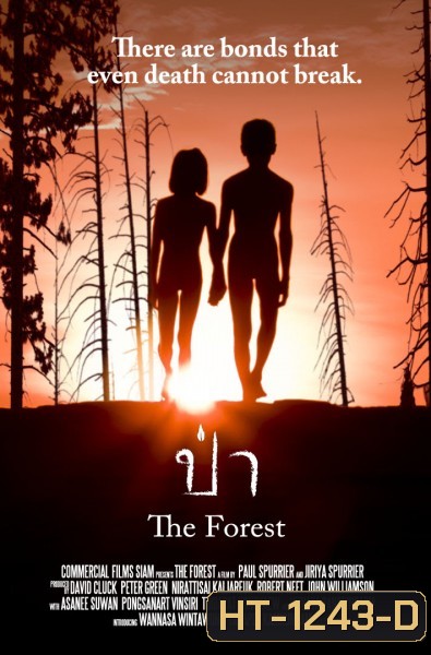 The Forest ป่า