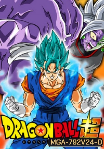 Dragon Ball Super Vol.24