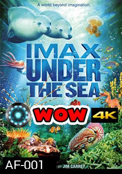 IMAX: Under The Sea มหัศจรรย์โลกใต้ทะเลลึก
