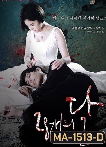 28 Faces Of The Moon