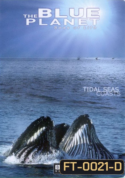 BLUE PLANET ตอน TIDAL SEAS COASTS