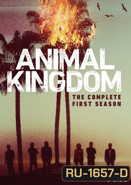 ANIMAL KINGDOM ตระกูลชั่ว ครอบครัวโจร Season 1 (10 ตอนจบ)