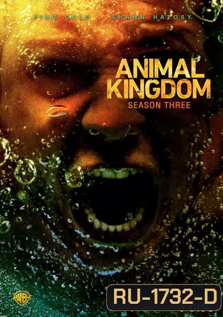 ANIMAL KINGDOM ตระกูลชั่ว ครอบครัวโจร Season 3 (13 ตอนจบ)