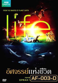 Life อัศจรรย์แห่งชีวิต