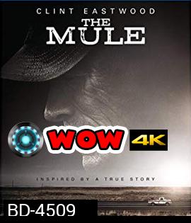 The Mule (2018) เดอะ มิวล์