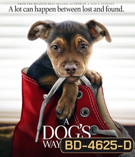 A Dog's Way Home (2019) เพื่อนรักผจญภัยสี่ร้อยไมล์