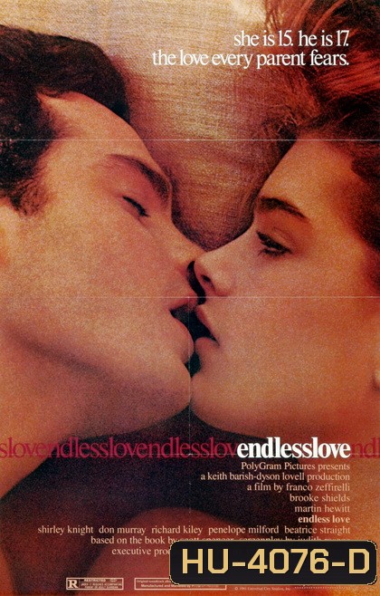 Endless Love วุ่นรักไม่รู้จบ (1981)