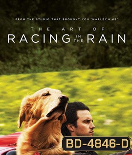 The Art of Racing in the Rain (2019) อุ่นไอหัวใจตูบ