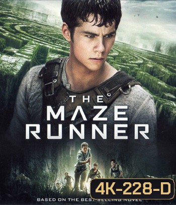 4K - Maze Runner (2014) วงกตมฤตยู - แผ่นหนัง 4K UHD