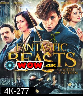 4K - Fantastic Beasts and Where to Find Them (2016) สัตว์มหัศจรรย์และถิ่นที่อยู่ - แผ่นหนัง 4K UHD