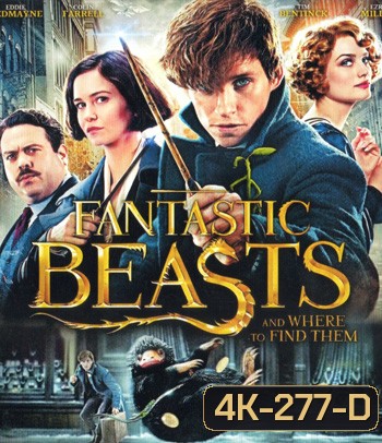 4K - Fantastic Beasts and Where to Find Them (2016) สัตว์มหัศจรรย์และถิ่นที่อยู่ - แผ่นหนัง 4K UHD
