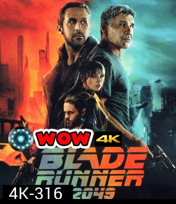 4K - Blade Runner 2049 (2017) - แผ่นหนัง 4K UHD