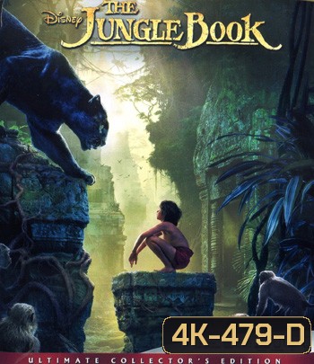 4K - The Jungle Book (2016) - แผ่นหนัง 4K UHD