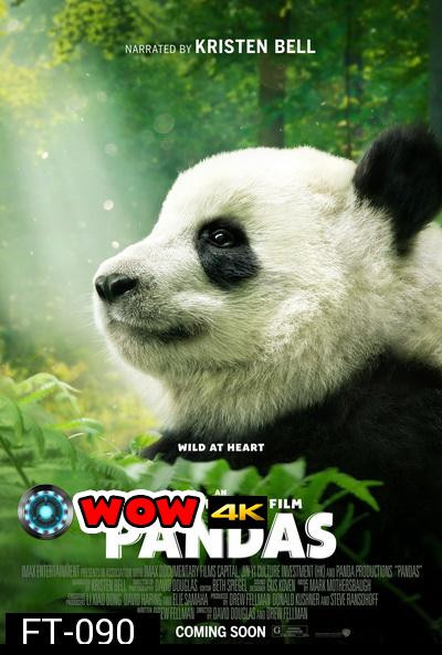 Pandas (2018)  สารคดี แพนด้า