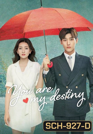 You Are My Destiny (2020) พรหมลิขิตนี้คือเธอ (36 ตอนจบ)