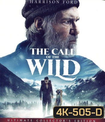 4K - The Call of the Wild (2020) เสียงเพรียกจากพงไพร - แผ่นหนัง 4K UHD
