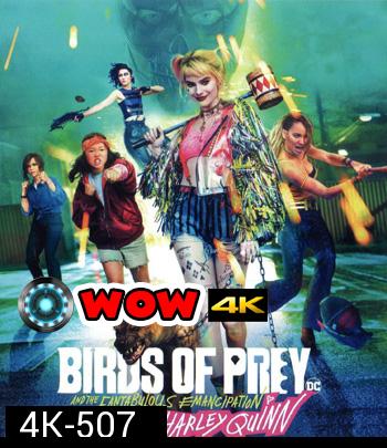 4K - Birds of Prey (2020) ทีมนกผู้ล่า กับ ฮาร์ลีย์ ควินน์ ผู้เริดเชิด - แผ่นหนัง 4K UHD