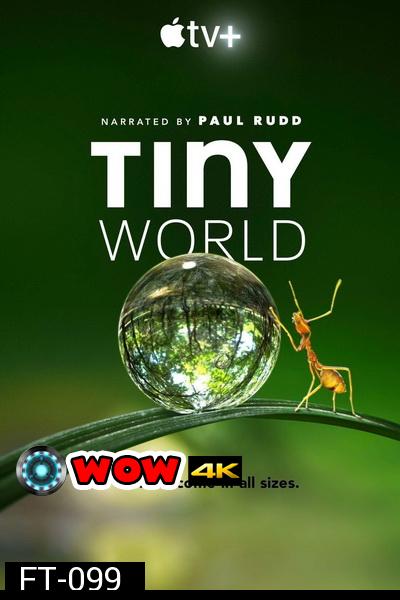 Tiny World 2020 ( EP1-6 ยังไม่จบ อีก 6 ตอนจะมาอีกทีในปีหน้า )