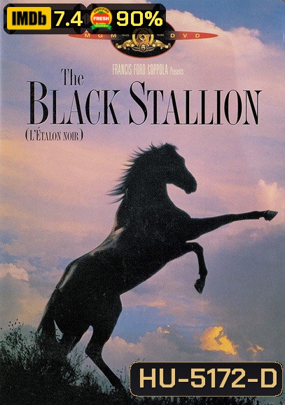 The Black Stallion (1979) อาชาเพื่อนยาก