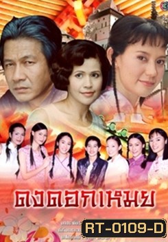 ดงดอกเหมย