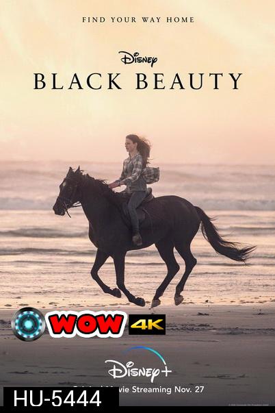 Black Beauty (2020) ความงามสีดำ