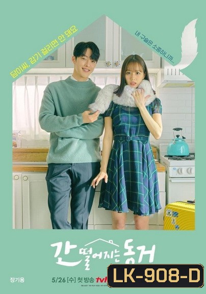 My Roommate is a Gumiho (2022) รูมเมตฉันคือคุณชายจิ้งจอก ( 16 ตอนจบ )