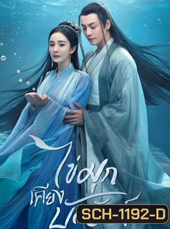 ไข่มุกเคียงบัลลังก์ Novoland Pearl Eclipse [2021]