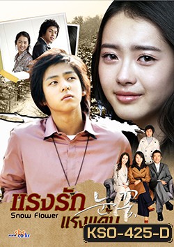 Snow Flower แรงรัก แรงแค้น (Snow Flakes)