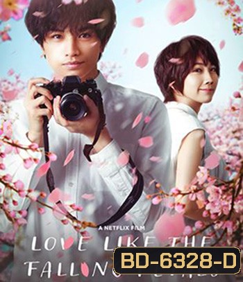 Love Like the Falling Petals (2022)