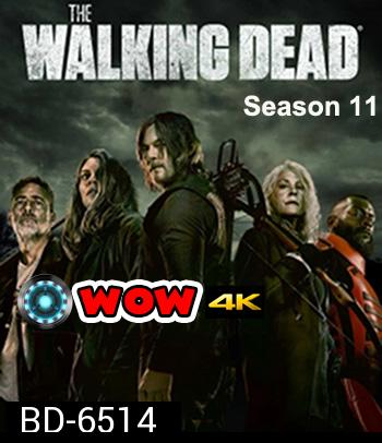 The Walking Dead Season 11 (2021) ล่าสยอง ทัพผีดิบ  (16 ตอนจบครึ่งแรก)