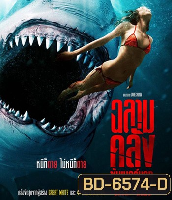 Shark Bait (2022) ฉลามคลั่ง ซัมเมอร์นรก
