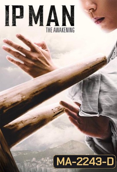 Ip Man The Awakening (2022)