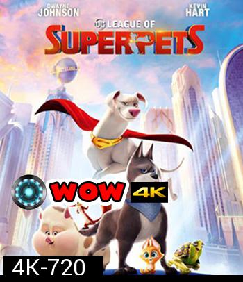 4K - DC League of Super-Pets (2022) ขบวนการซูเปอร์เพ็ทส์ - แผ่นหนัง 4K UHD