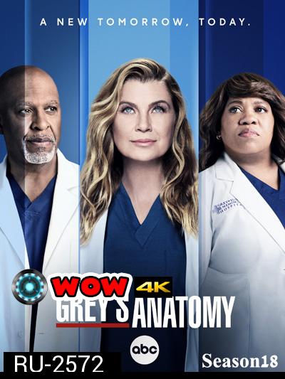 Grey's anatomy Season 18 แพทย์มือใหม่หัวใจเกินร้อย ปี 18 (20 ตอนจบ)