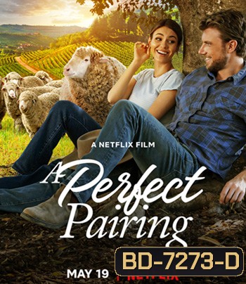 A Perfect Pairing (2022) คู่นี้... คือเพอร์เฟค