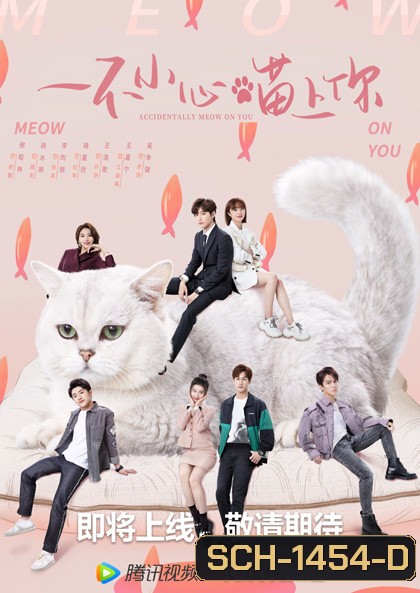 Accidentally Meow On You (2022) เหมียวเหมียวเกี่ยวใจให้เจอรัก (24 ตอนจบ)