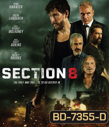 Section 8 (2022)