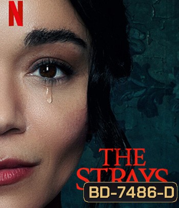 The Strays (2023) คนหลงทาง
