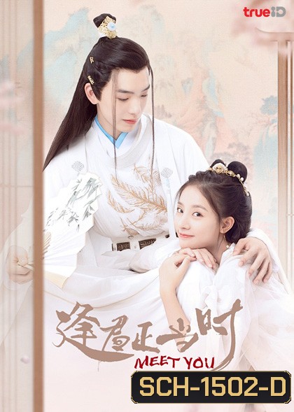 Meet You (2021) เจ้าสาวสวมรอย (12 ตอนจบ)