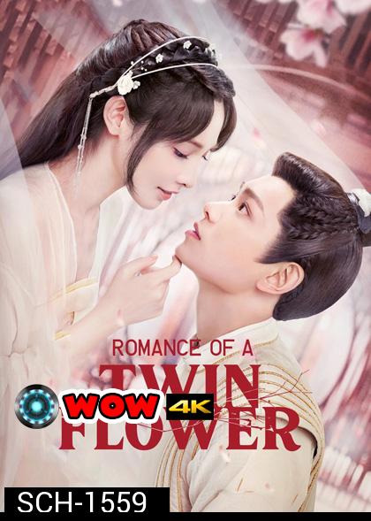 Romance of a Twin Flower (2023) คู่บุปผาเคียงฝัน (38 ตอนจบ)